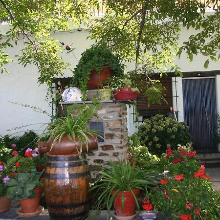 Apartamentos Y Casas Rurales Las Terrazas De La Alpujarra Bubion Ngoại thất bức ảnh