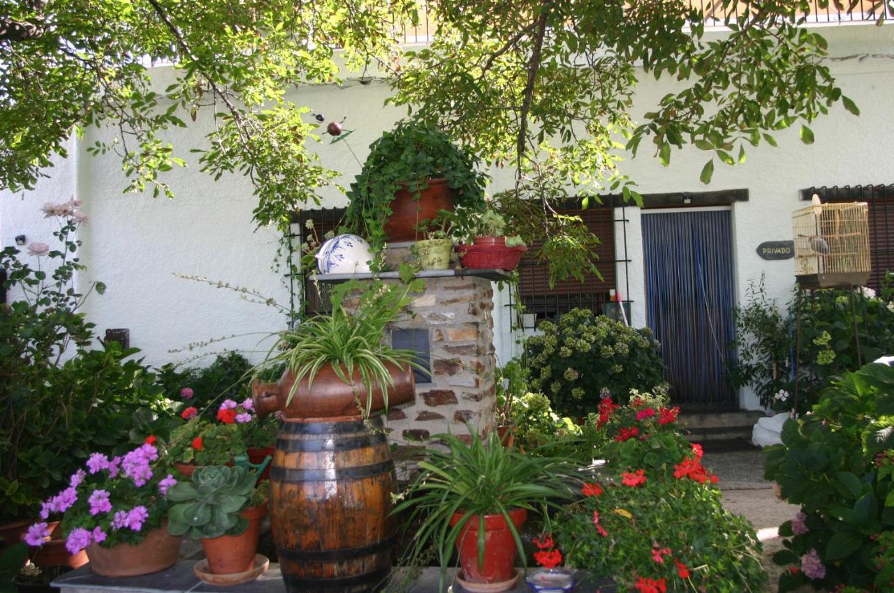 Apartamentos Y Casas Rurales Las Terrazas De La Alpujarra Bubion Ngoại thất bức ảnh