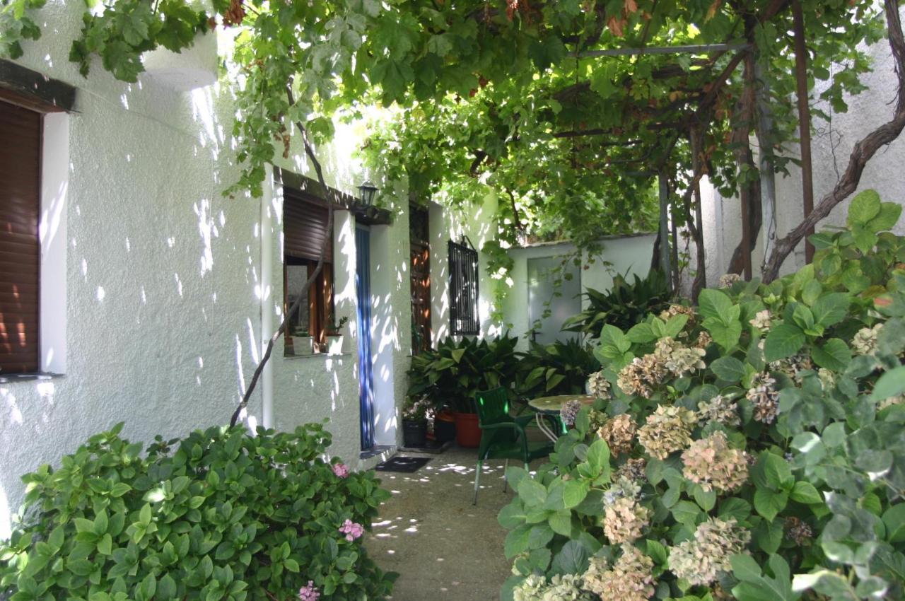 Apartamentos Y Casas Rurales Las Terrazas De La Alpujarra Bubion Ngoại thất bức ảnh